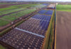Aarsleff’s Centrum Pile System does double duty on Dutch photovoltaic project