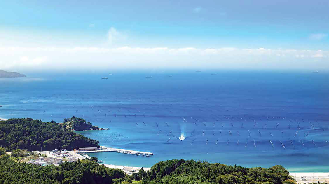 Resilience – 10 Years after the Great East Japan Earthquake