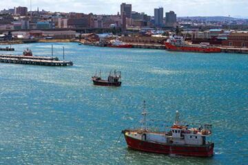 Port of Ngqura in South Africa refurbished with SFT Element
