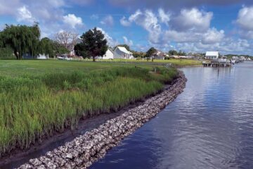 Restoring Shoreline with Natural Materials
