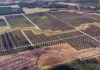 McCarthy completes Silicon Ranch Hazlehurst II & III solar facility in Georgia